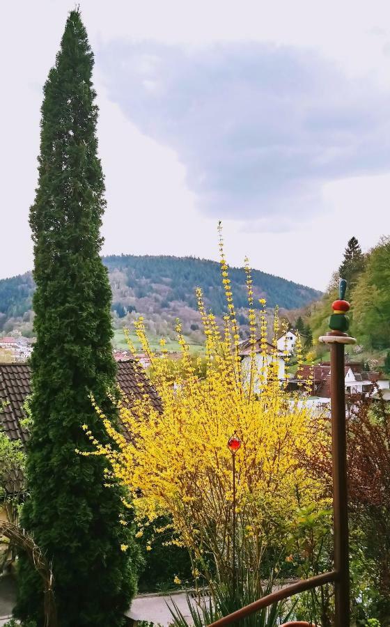 Casa La Collina Delle Ginestre Leilighet Eberbach  Eksteriør bilde