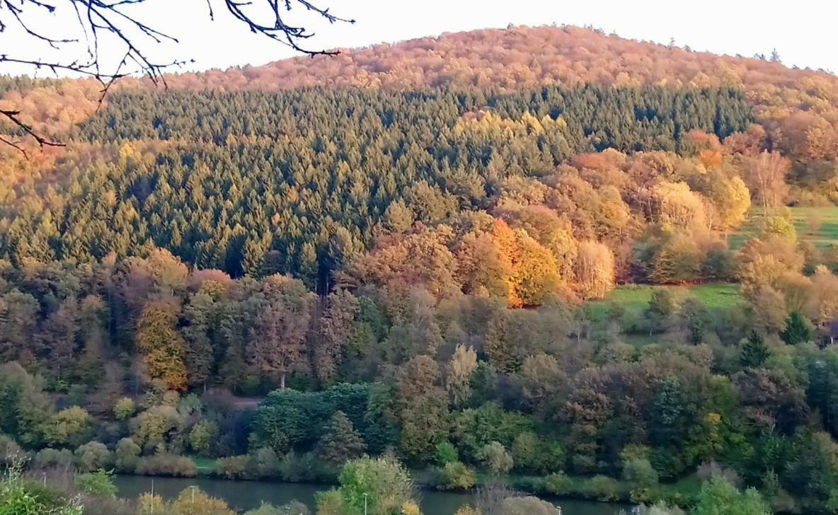 Casa La Collina Delle Ginestre Leilighet Eberbach  Eksteriør bilde